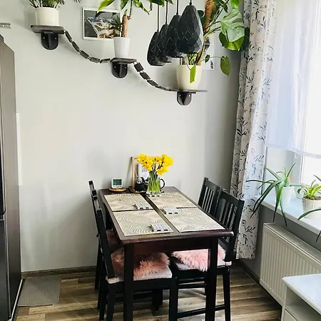 Na Starym Miescie アパート ブンツラウ